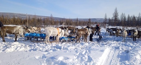 Развлечение на стойбище и дорога до Оймякона
4 день: 27 марта 2026 г.
